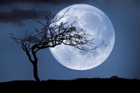 Honoring the Moon Goddess during the Full Moon in Wicca